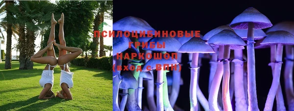 сатива Лагань